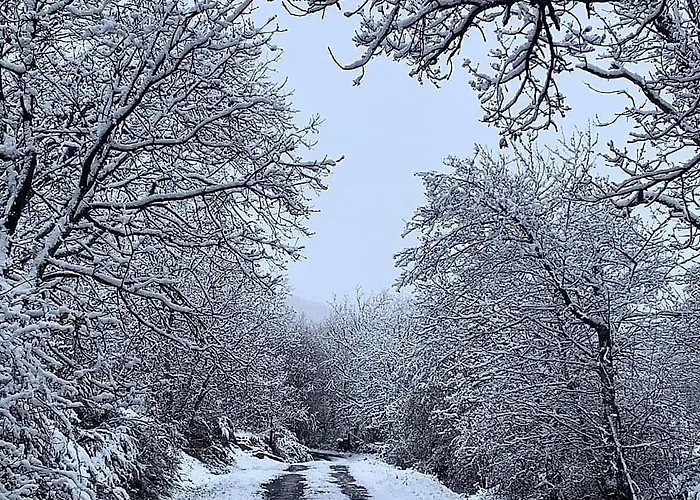 Дом отдыха Canales